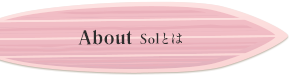 About - Solとは